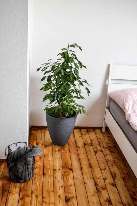 Schoene Dachgeschosswohnung Nahe Koeln Exterior foto