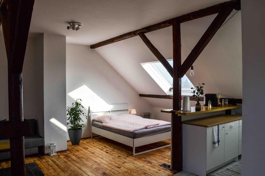 Schoene Dachgeschosswohnung Nahe Koeln Exterior foto